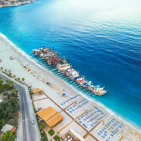 Sunlight Φετιγιέ